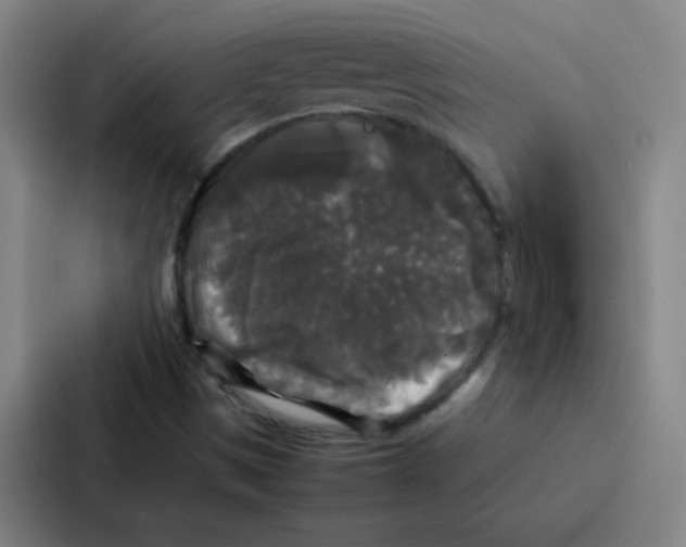 X0000086921497200705141712