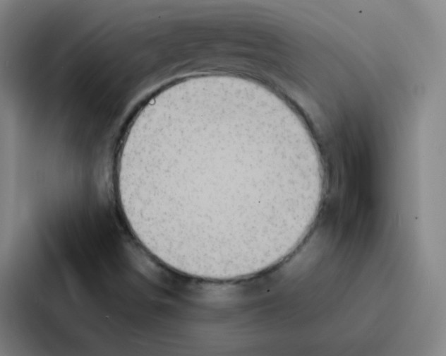 X0000086921498200705141712