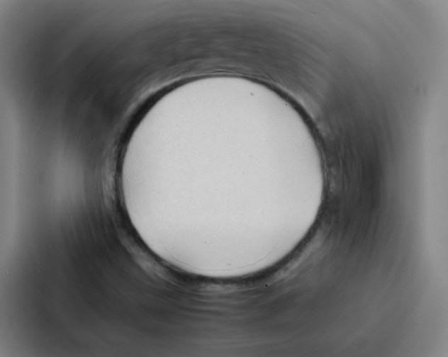 X0000086921499200705141712