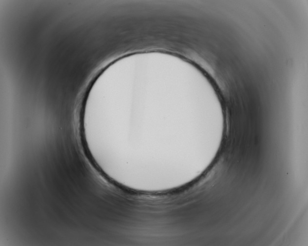 X0000086921500200705141712