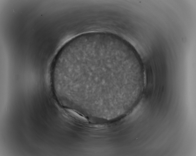 X0000086921501200705141712