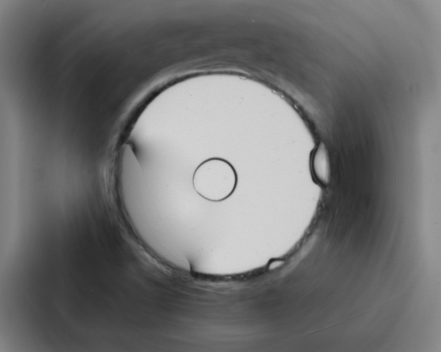 X0000086921502200705141712