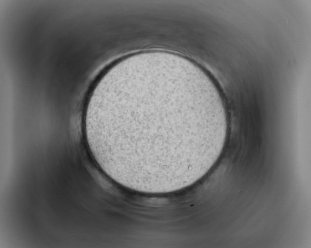 X0000086921503200705141712