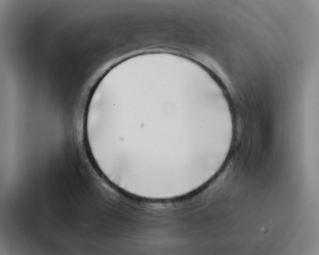 X0000086921504200705141712