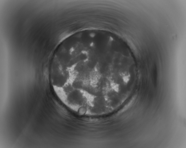 X0000086921505200705141712