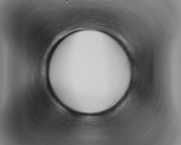 X0000086921506200705141712