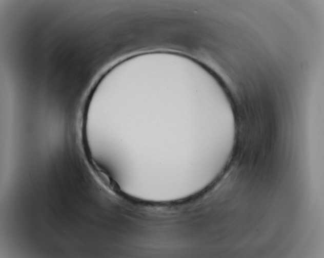 X0000086921508200705141712