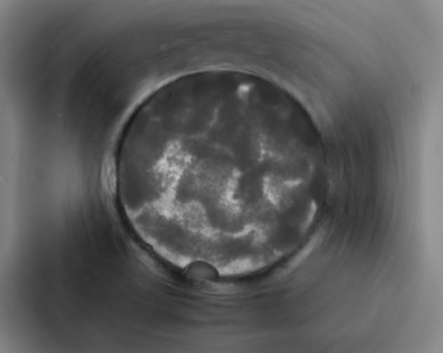 X0000086921509200705141712