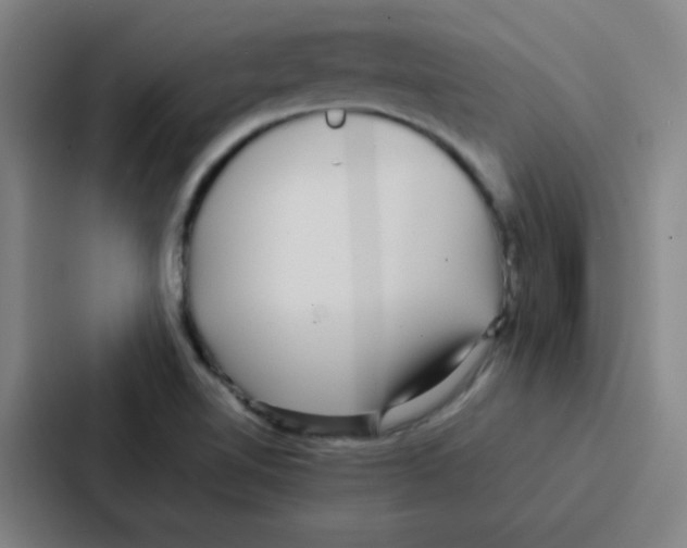 X0000086921510200705141712