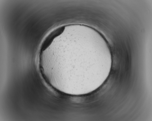 X0000086921511200705141712