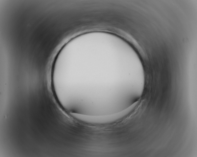 X0000086921512200705141712