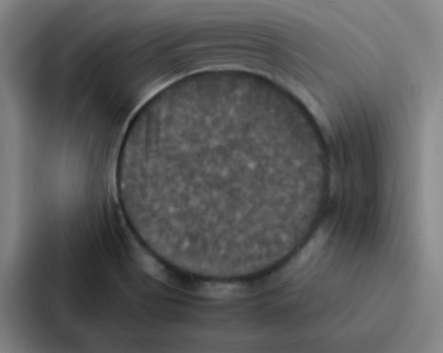 X0000086921513200705141712