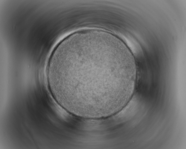 X0000086921514200705141712