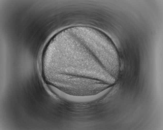 X0000086921515200705141712