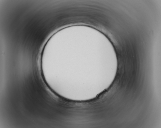 X0000086921516200705141712