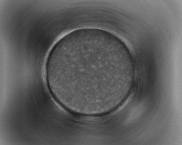 X0000086921517200705141712