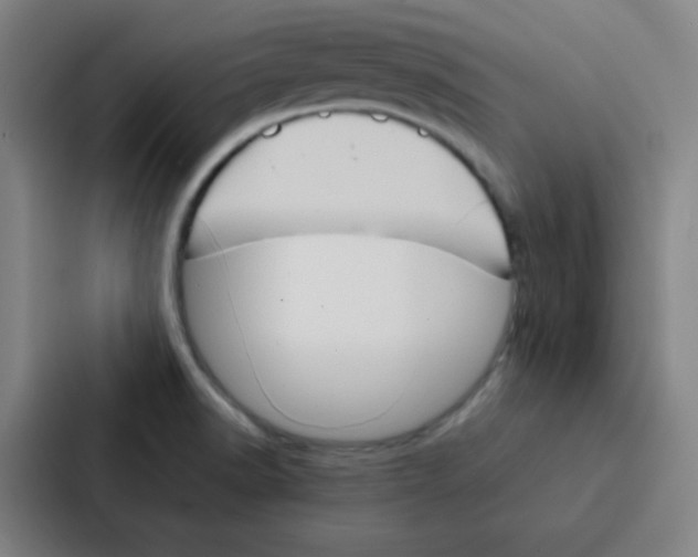 X0000086921518200705141712