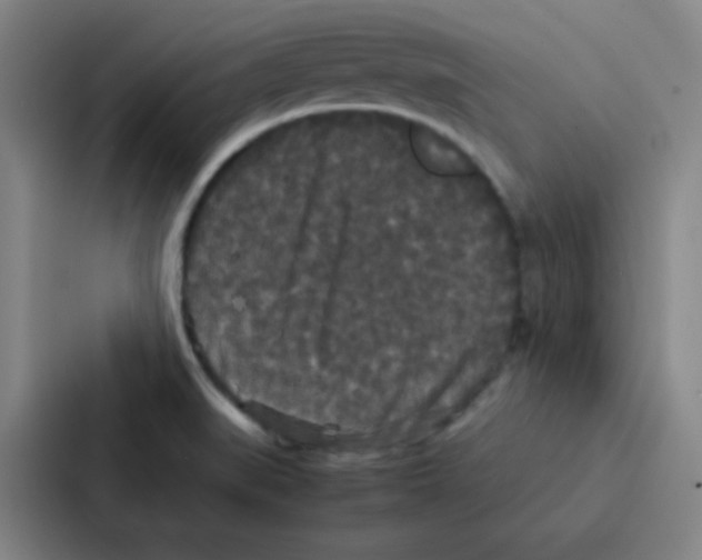 X0000086921519200705141712