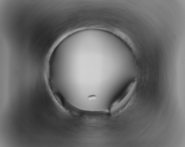 X0000086921520200705141712