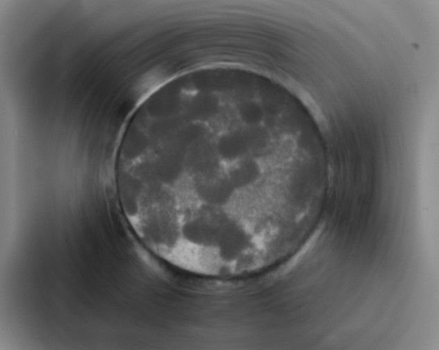 X0000086921521200705141712