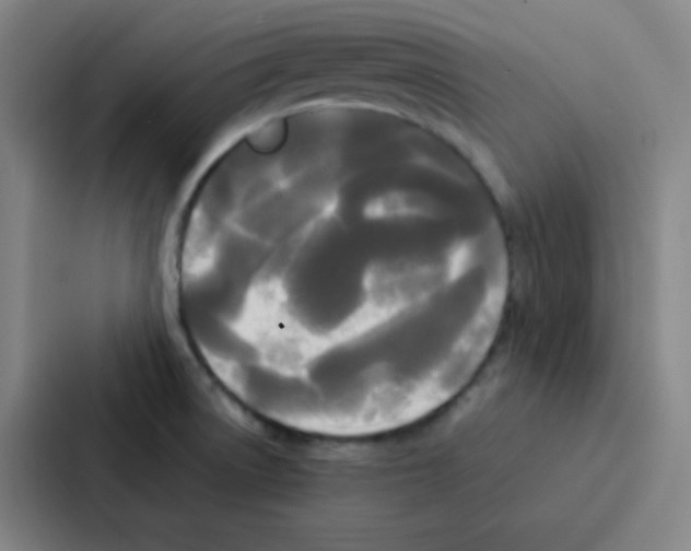 X0000086921522200705141712