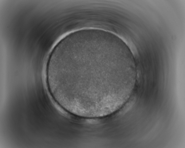 X0000086921523200705141712