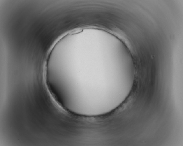 X0000086921524200705141712