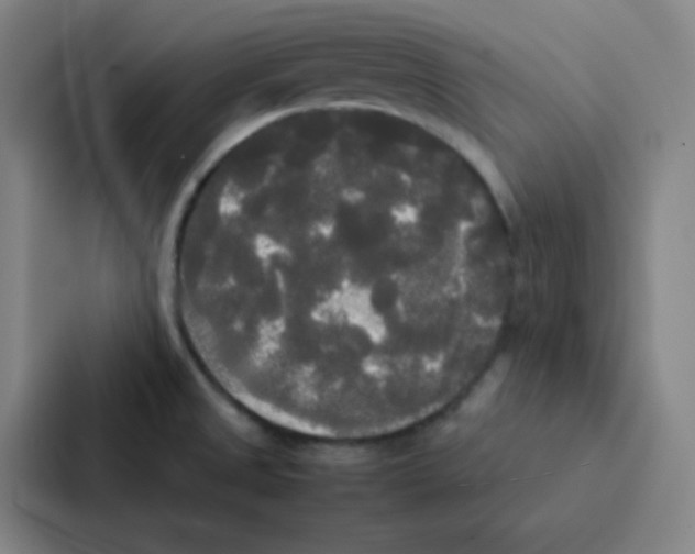 X0000086921525200705141712