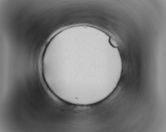 X0000086921526200705141712