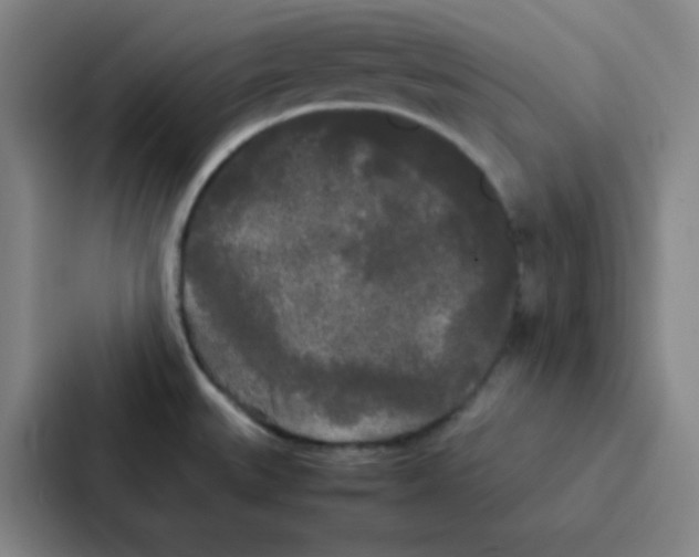 X0000086921527200705141712