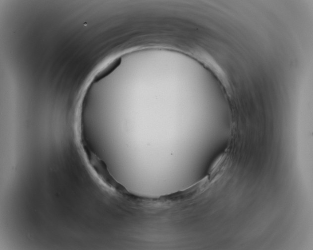 X0000086921528200705141712