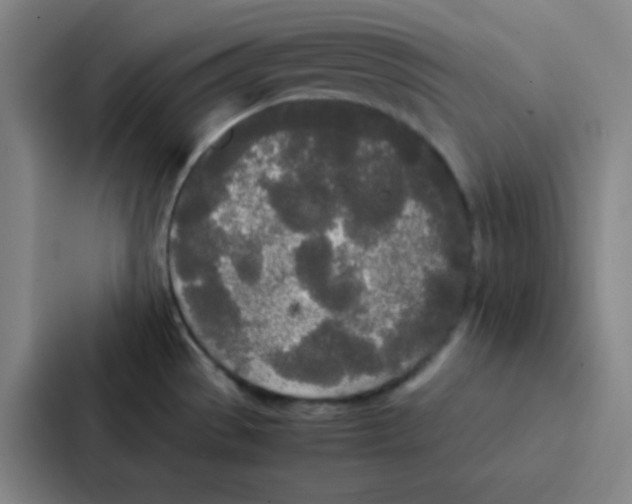 X0000086921529200705141712