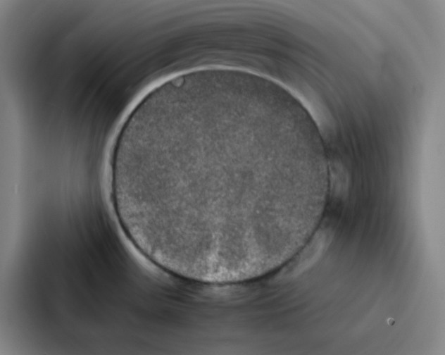 X0000086921531200705141712