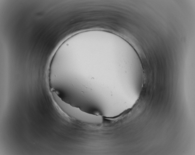 X0000086921532200705141712