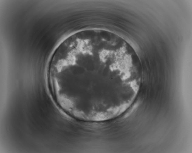 X0000086921533200705141712