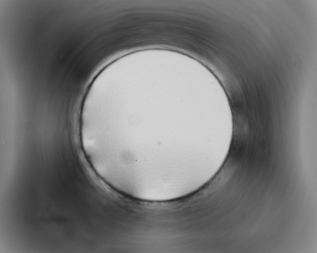 X0000086921534200705141712