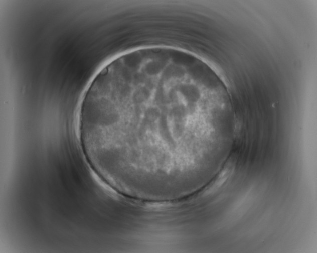 X0000086921535200705141712