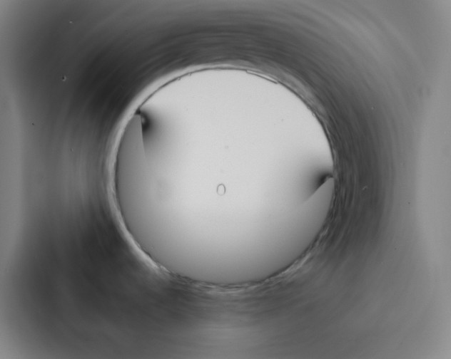 X0000086921536200705141712