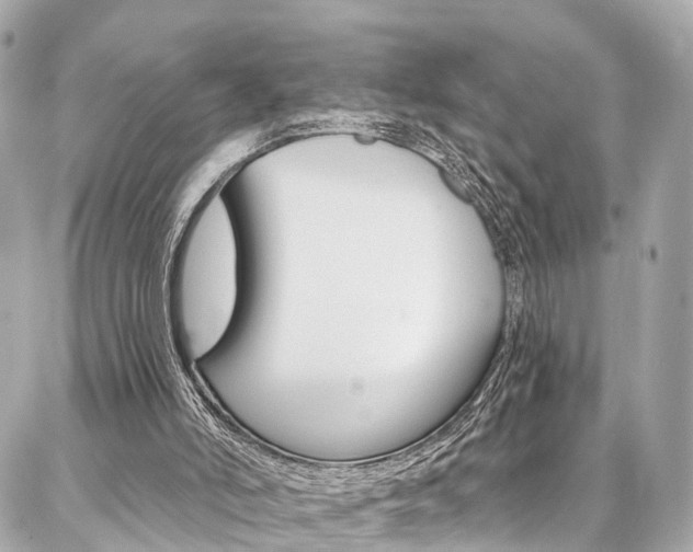 X0000086930006200704161111