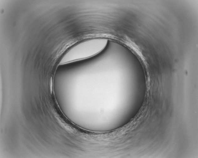 X0000086930013200704161111