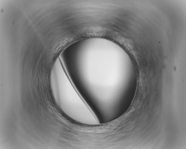 X0000086930017200704161111