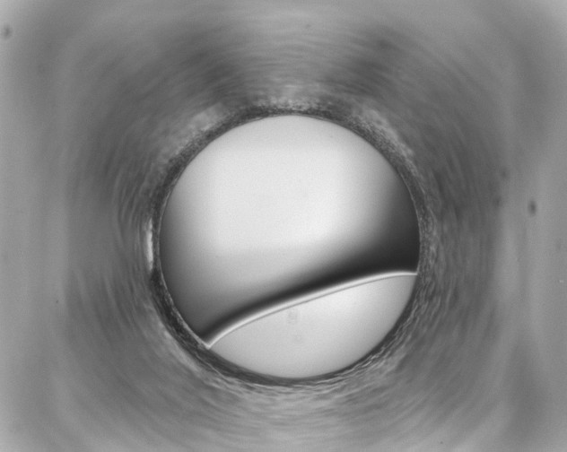 X0000086930020200704161111