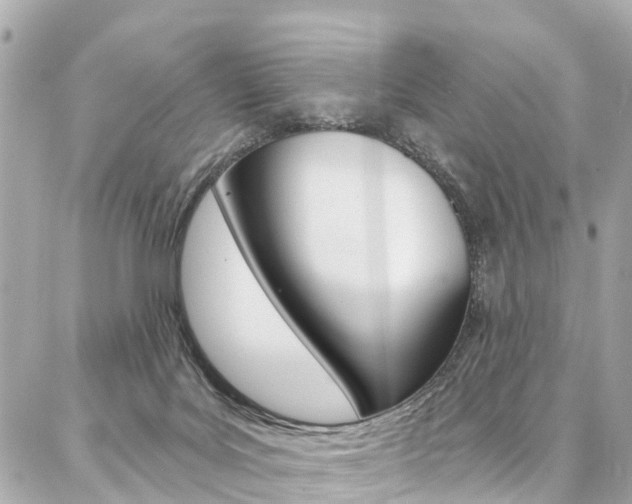 X0000086930027200704161111