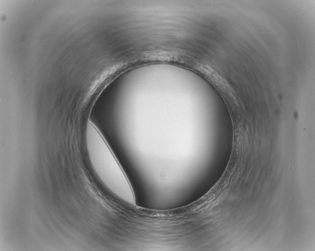 X0000086930064200704161110
