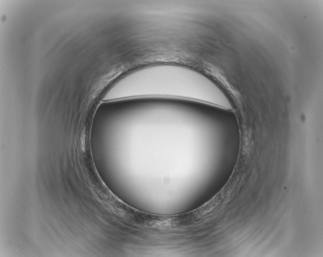 X0000086930068200704161110