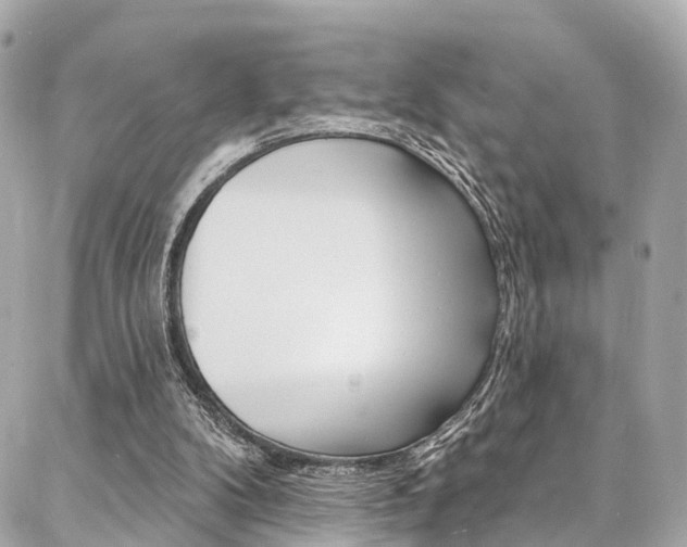 X0000086930104200704161110