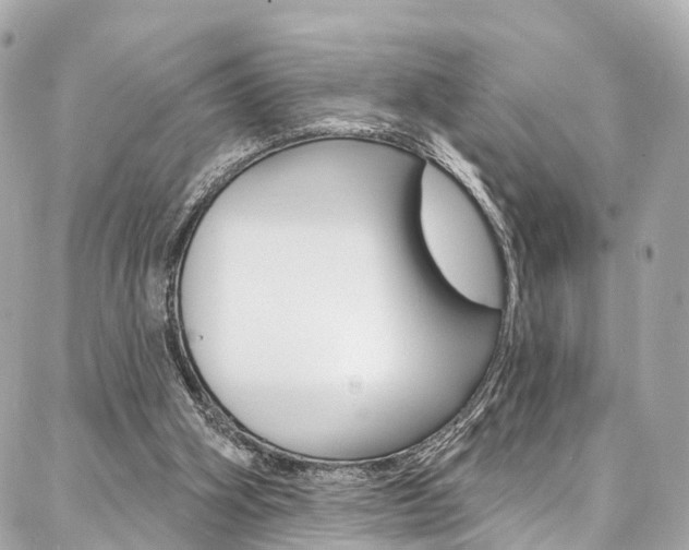 X0000086930106200704161110