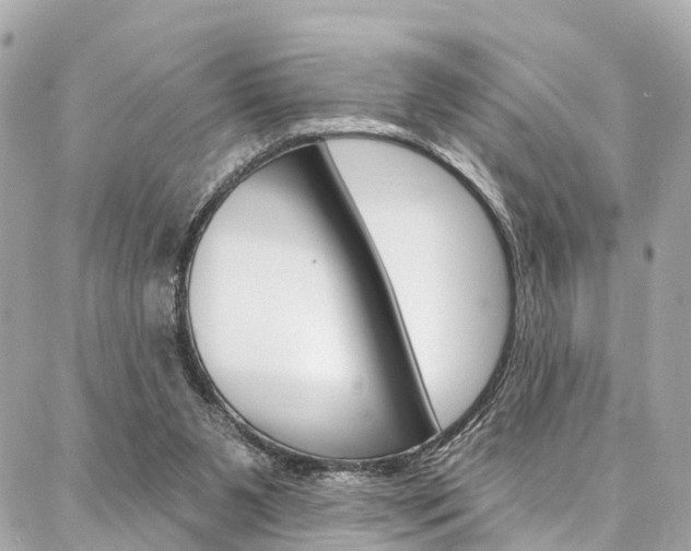X0000086930111200704161110