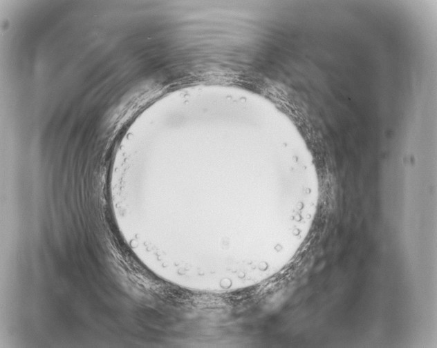 X0000086930146200704161108