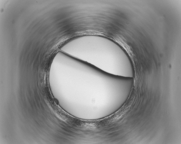 X0000086930157200704161108